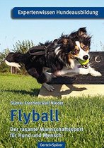 Flyball