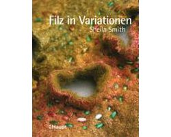 Filz in Variationen