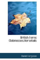 British Ferns Clubmosses, Horsetails