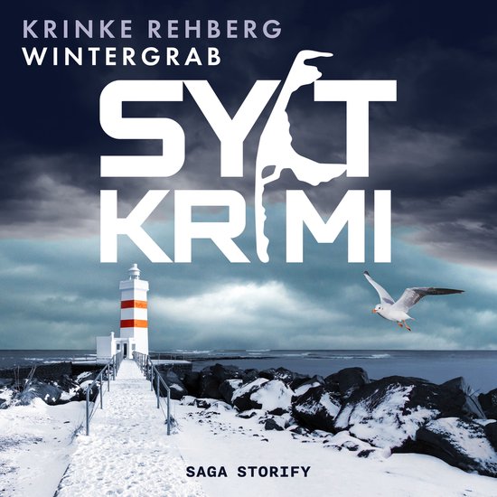 SYLTKRIMI Wintergrab: Nordseekrimi (KÜSTENKRIMI) - cover