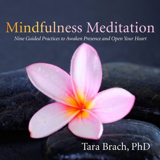 Mindfulness Meditation - cover