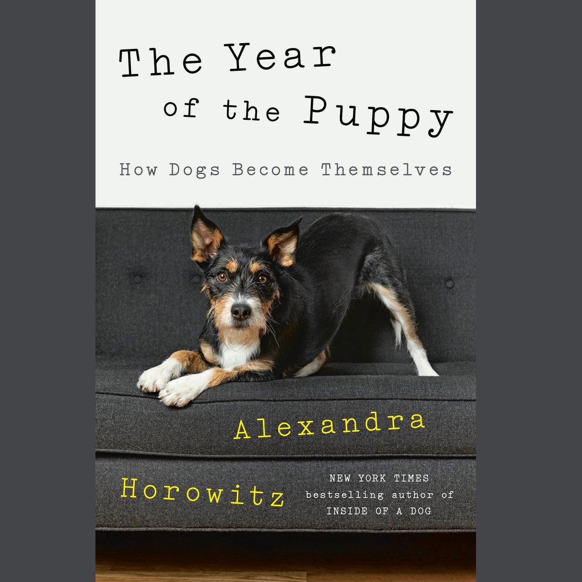 Omslag van The Year of the Puppy