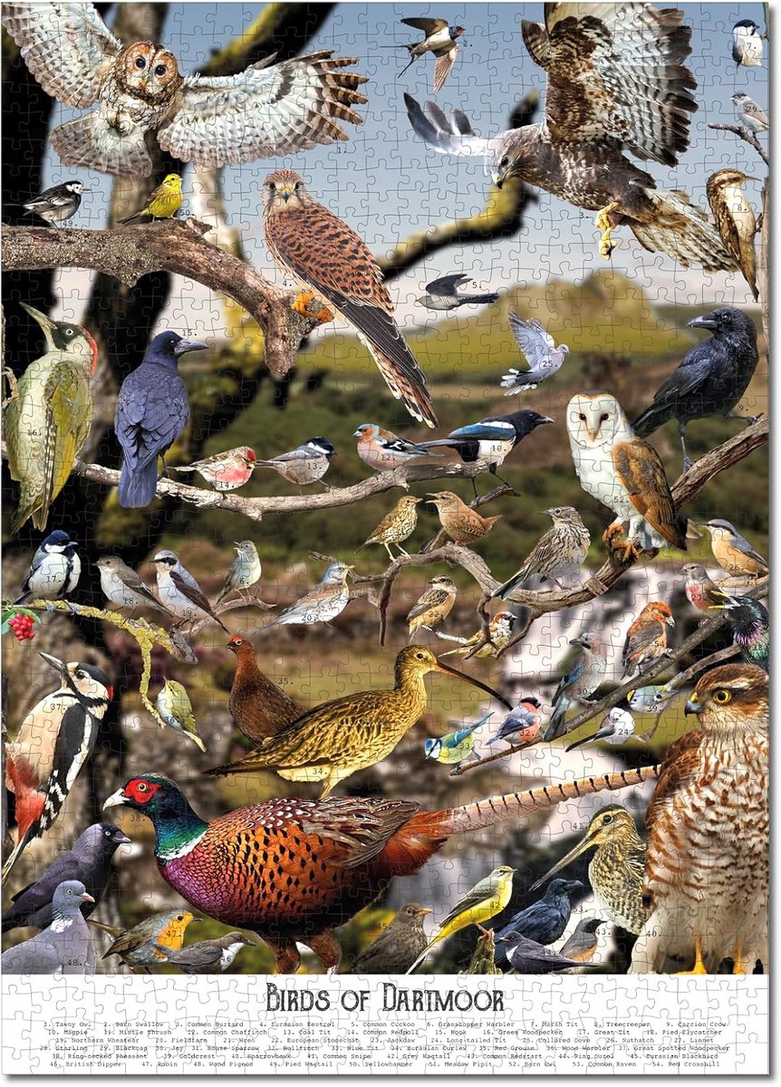Vogelpuzzel 1000 stukjes - Legpuzzel volwassenen - Natuur ontdekken - Meer dan 50 vogelsoorten - 70 x 50 cm - Gekleurd