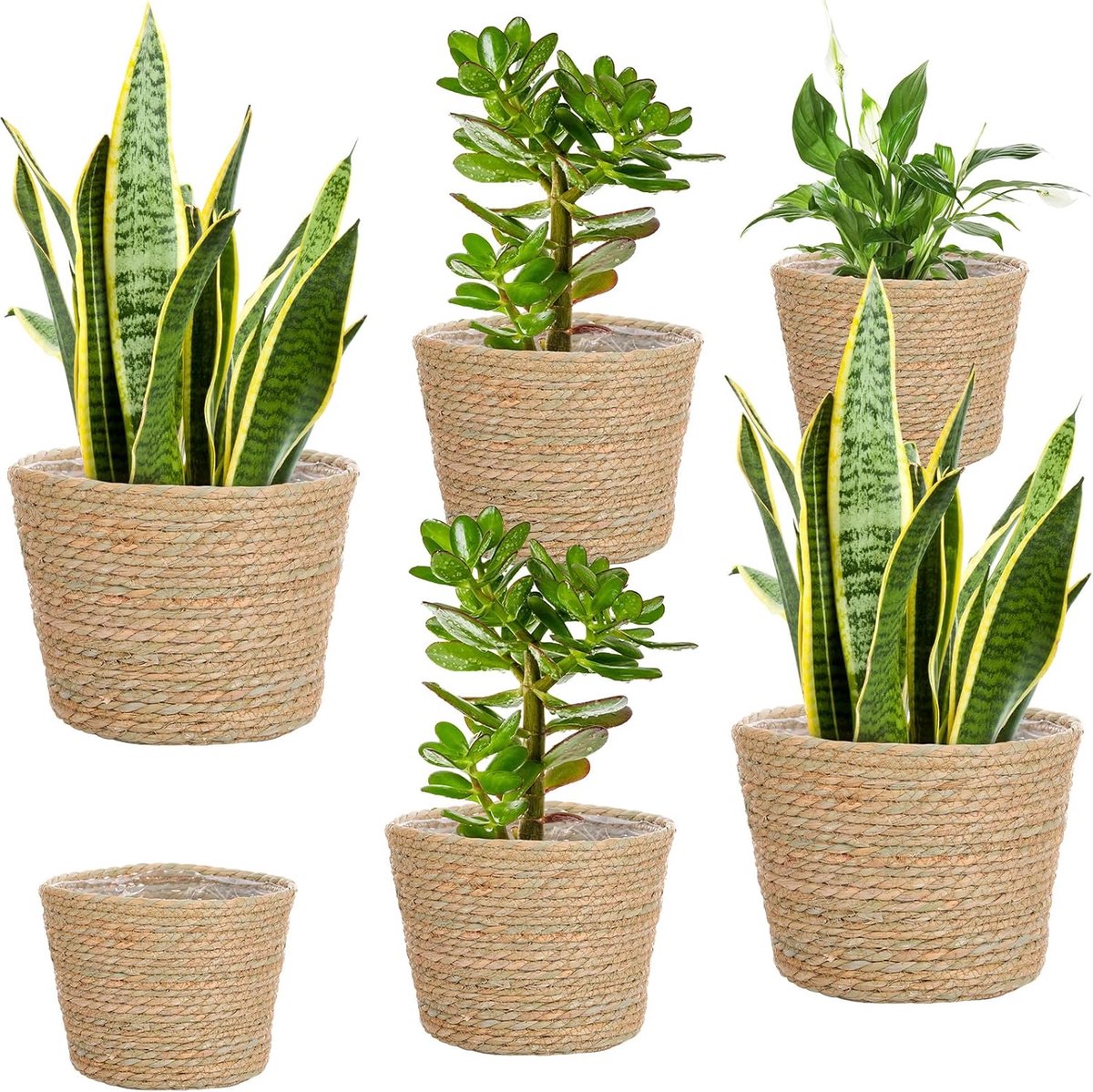 Zeegras plantenmanden - Bloempotten decoratie - Binnen en buiten - Handgeweven set - 3 maten - Klassiek