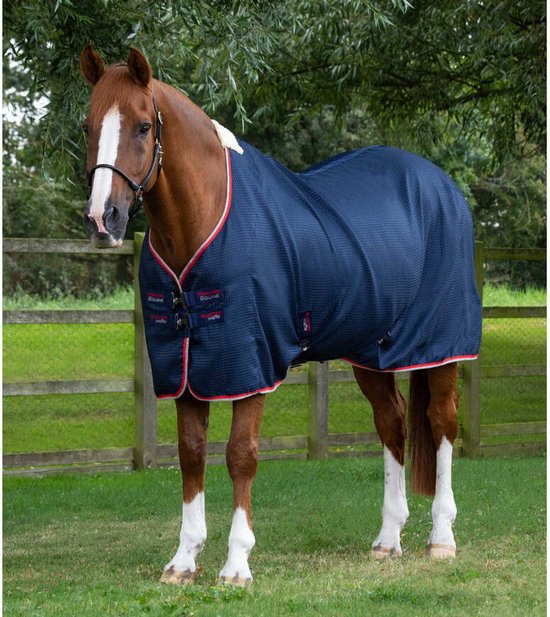 Bruin paard in een weiland, gedekt met een donkerblauwe paardendeken met rode en grijze bies.