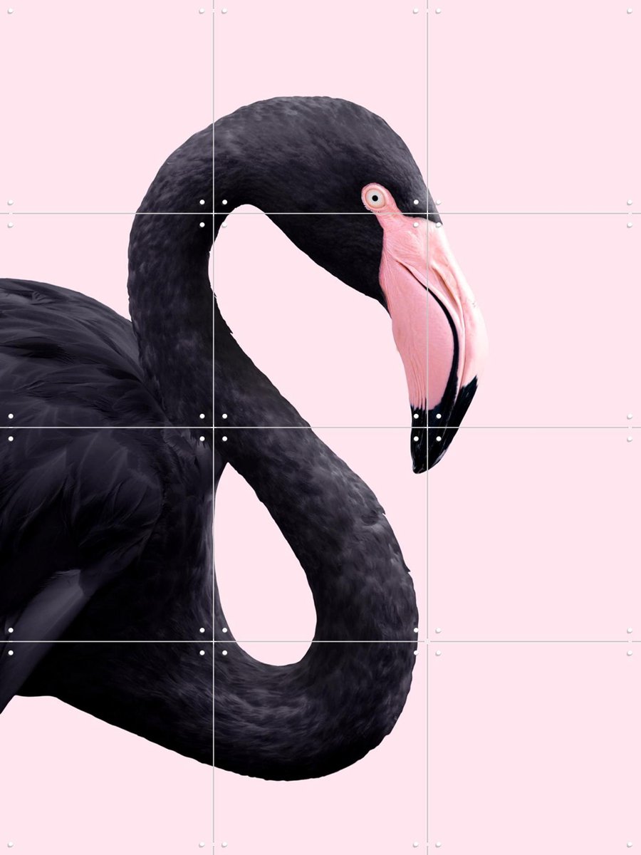 IXXI Black Flamingo, Paul Fuentes - 60 x 80 cm - Gratis ophangtool - Grote wanddecoratie en posters - Speels, Kleurrijk, Grafisch Ontwerp, Digitale