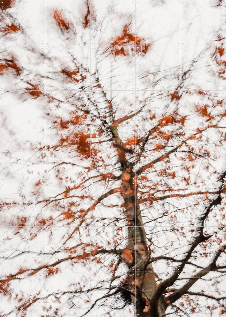 IXXI Autumn Tree, Photolovers - 100 x 140 cm - Gratis ophangtool - Grote wanddecoratie en posters - Abstract, Impressionisme, Fotografie, Slaapkamer