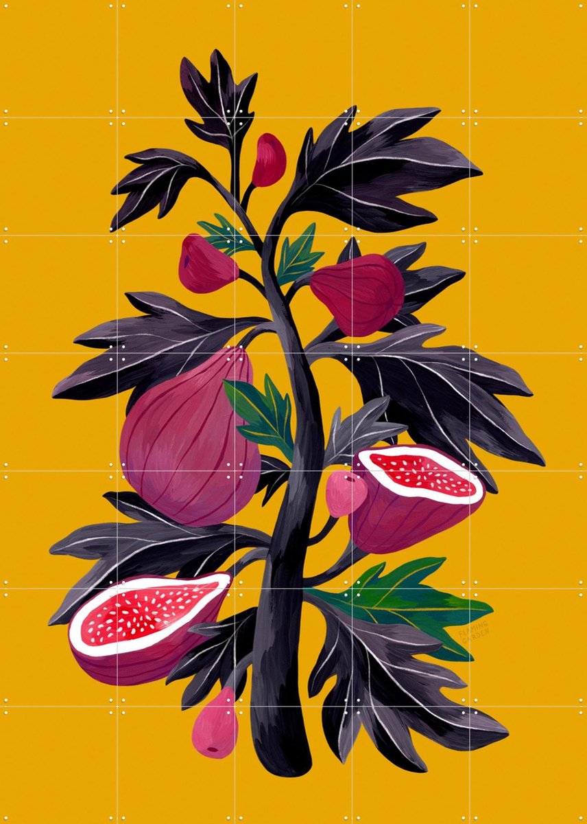 IXXI Fig Tree, Flaming Garden - 100 x 140 cm - Gratis ophangtool - Grote wanddecoratie en posters - Kleurrijk, Speels, Illustraties, Keuken, Eetkamer