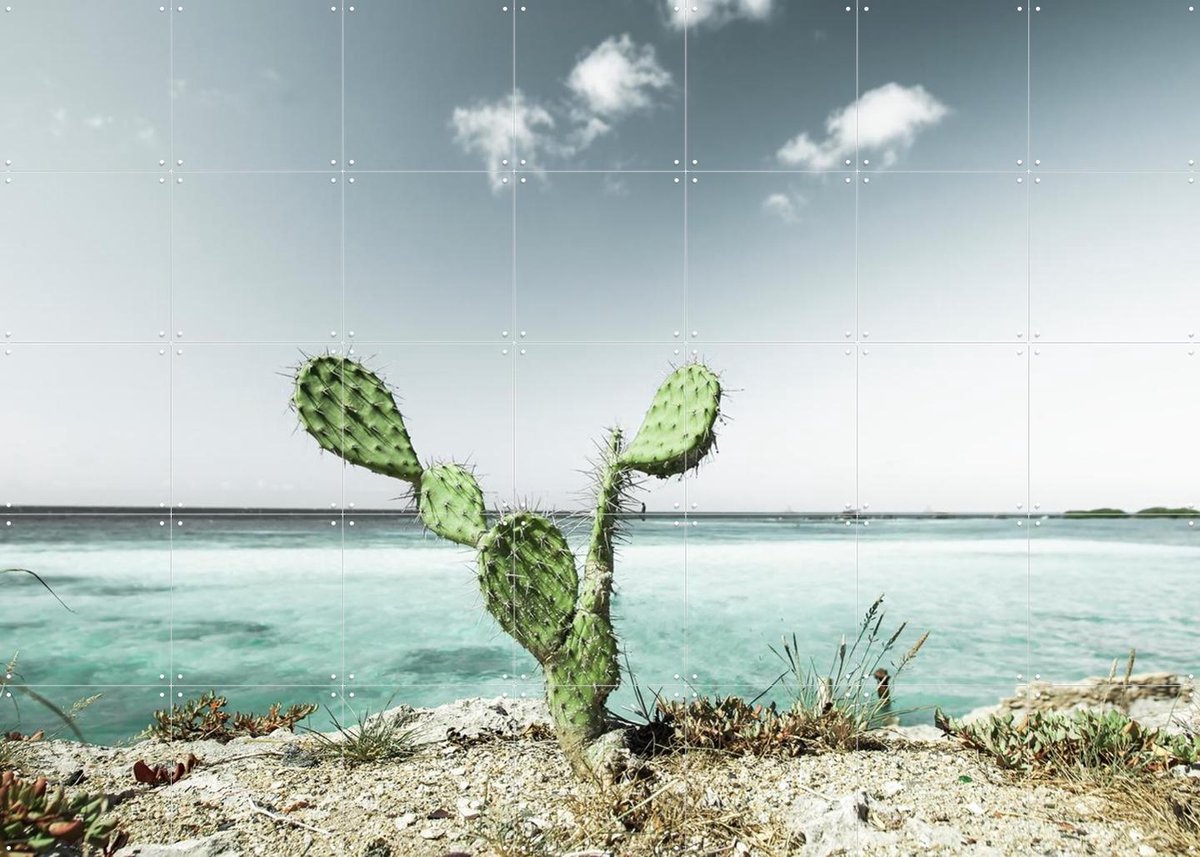 IXXI Tropical Cactus, Claire Droppert - 140 x 100 cm - Gratis ophangtool - Grote wanddecoratie en posters - Minimalisme, Naturalisme, Fotografie