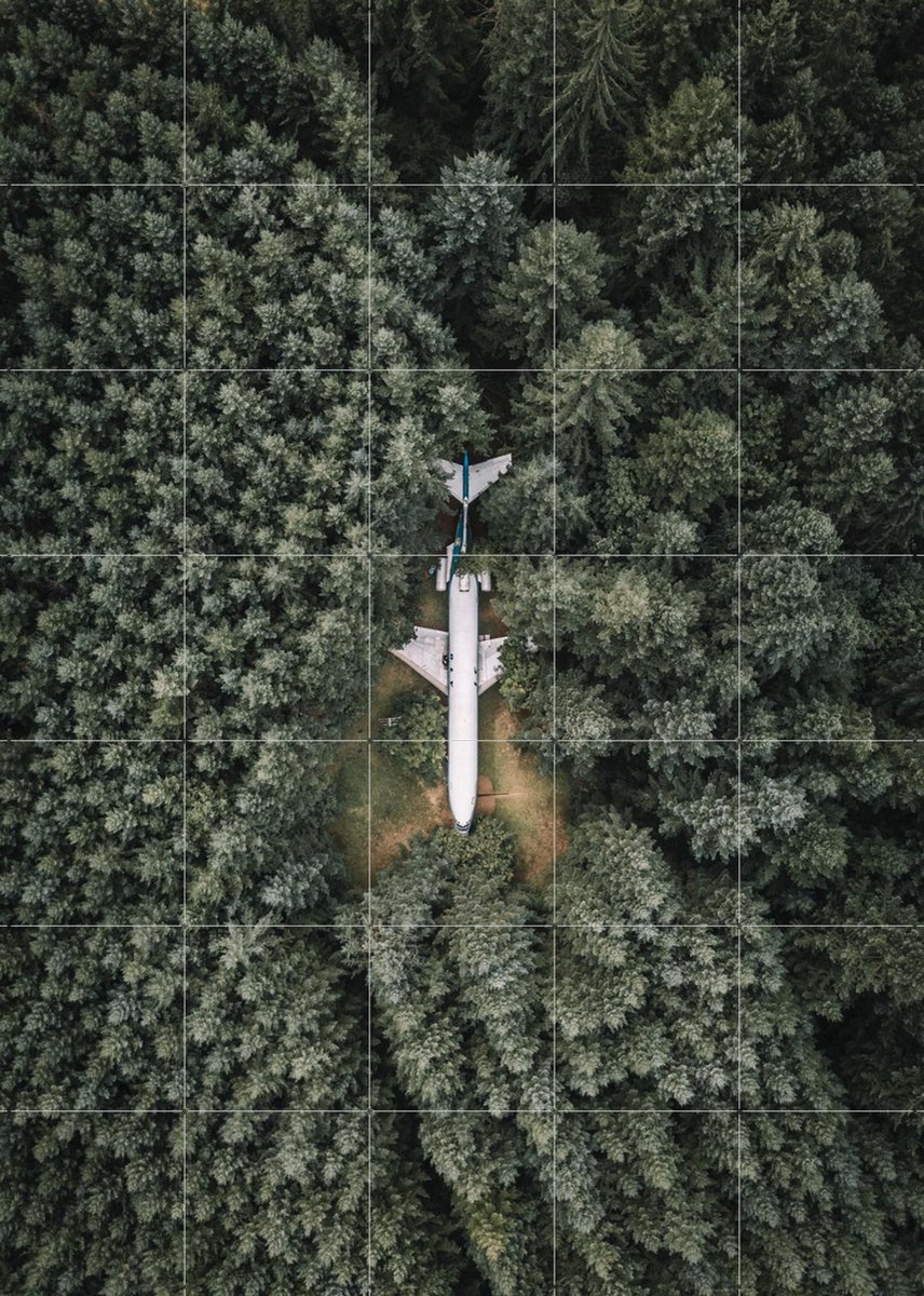 IXXI Airplane Home, Tristan Zhou - 100 x 140 cm - Gratis ophangtool - Grote wanddecoratie en posters - Fotografie, Woonkamer, Mancave, Bomen, Natuur