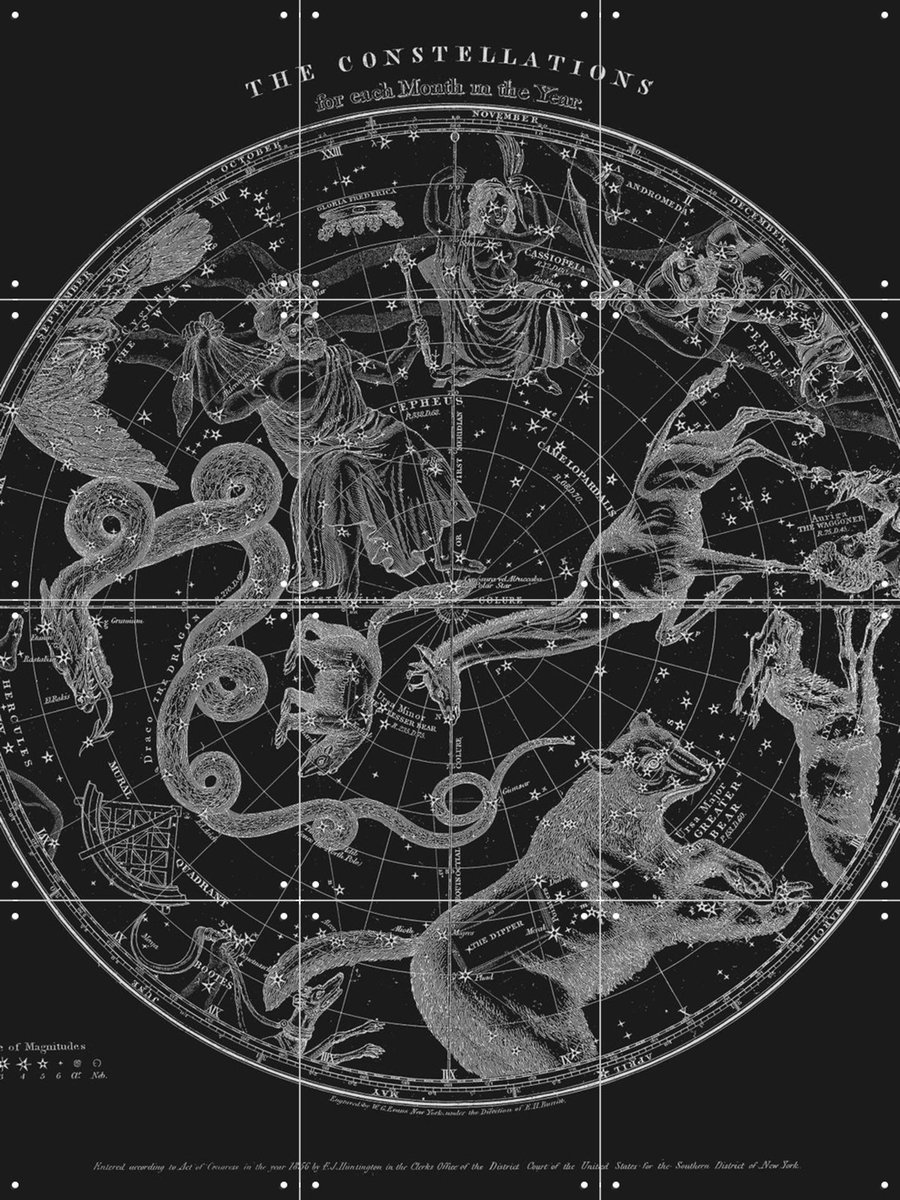 IXXI The Constellations black, Aster Edition - 60 x 80 cm - Gratis ophangtool - Grote wanddecoratie en posters - Vintage, Illustraties, Houtsnede