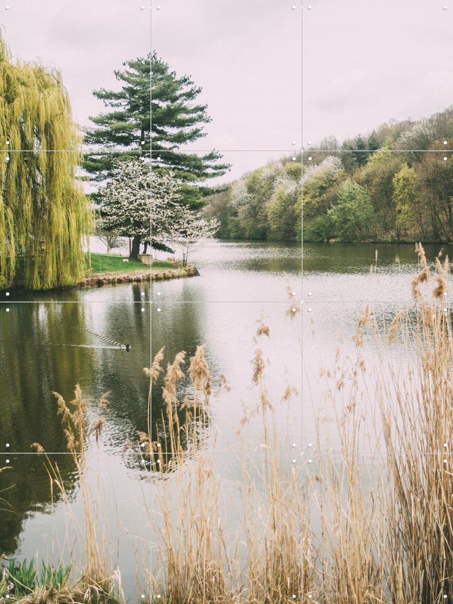 IXXI Tranquil Lake, Pati Photography - 60 x 80 cm - Gratis ophangtool - Grote wanddecoratie en posters - Naturalisme, Fotografie, Woonkamer