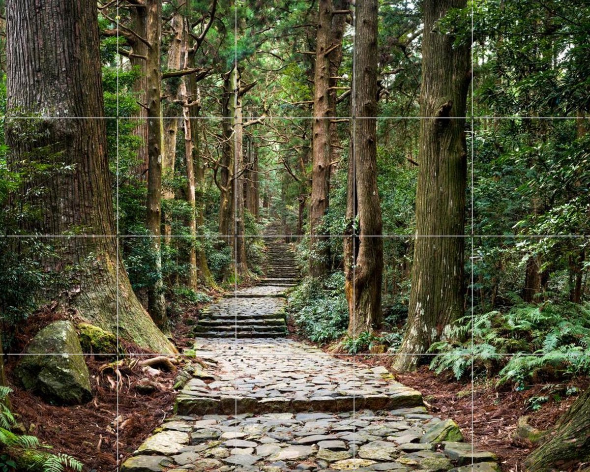 IXXI Kumano Kodo Pilgrimage Route, Jan Becke - 100 x 80 cm - Gratis ophangtool - Grote wanddecoratie en posters - Naturalisme, Fotografie, Woonkamer