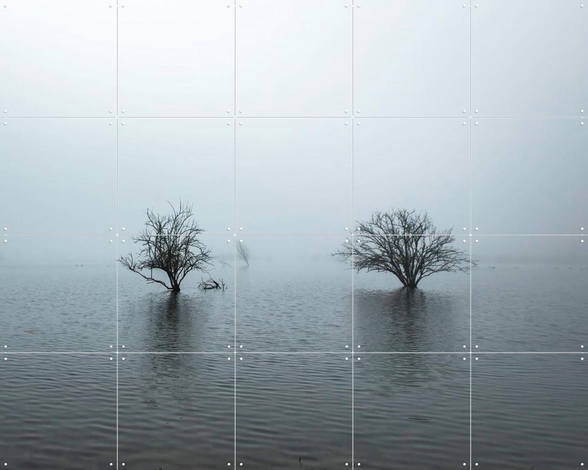 IXXI Whispering Tree Pair, Claire Droppert - 100 x 80 cm - Gratis ophangtool - Grote wanddecoratie en posters - Naturalisme, Realisme, Fotografie