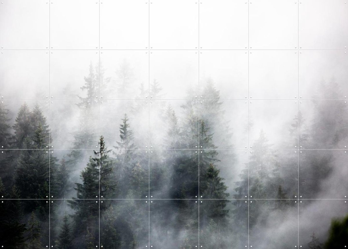 IXXI Foggy Woods 6, Mareike Böhmer - 140 x 100 cm - Gratis ophangtool - Grote wanddecoratie en posters - Grafisch Ontwerp, Naturalisme, Fotografie