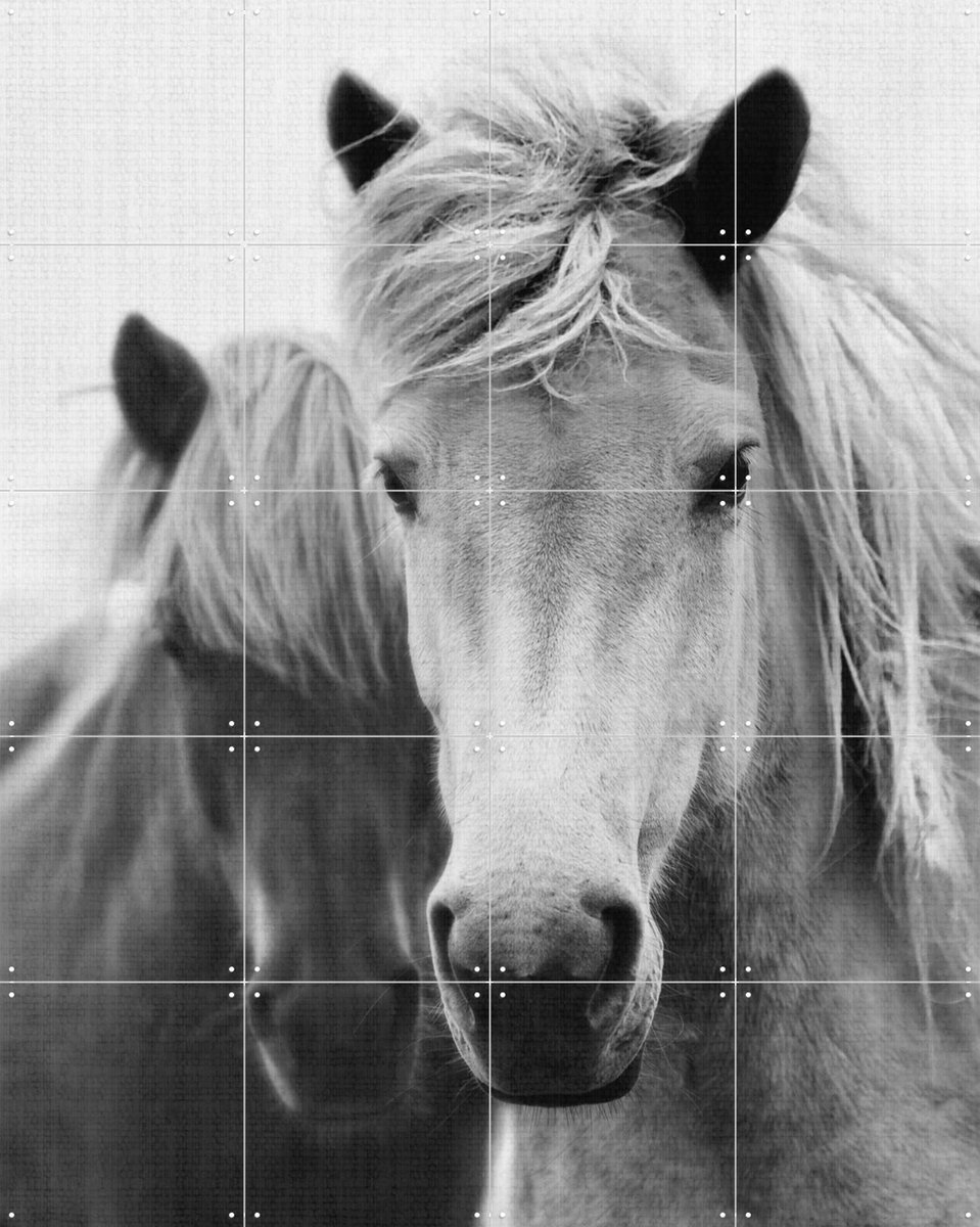 IXXI Print 180 Horses, Lila + Lola - 80 x 100 cm - Gratis ophangtool - Grote wanddecoratie en posters - Fotografie, Woonkamer, Dieren, Natuur