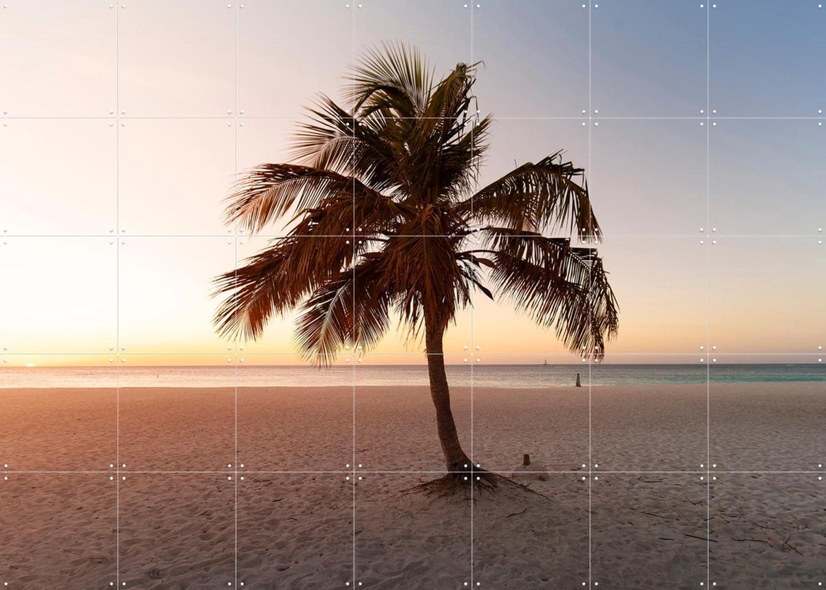 IXXI Summer Vibes Palm, Claire Droppert - 140 x 100 cm - Gratis ophangtool - Grote wanddecoratie en posters - Fotografie, Naturalisme, Woonkamer