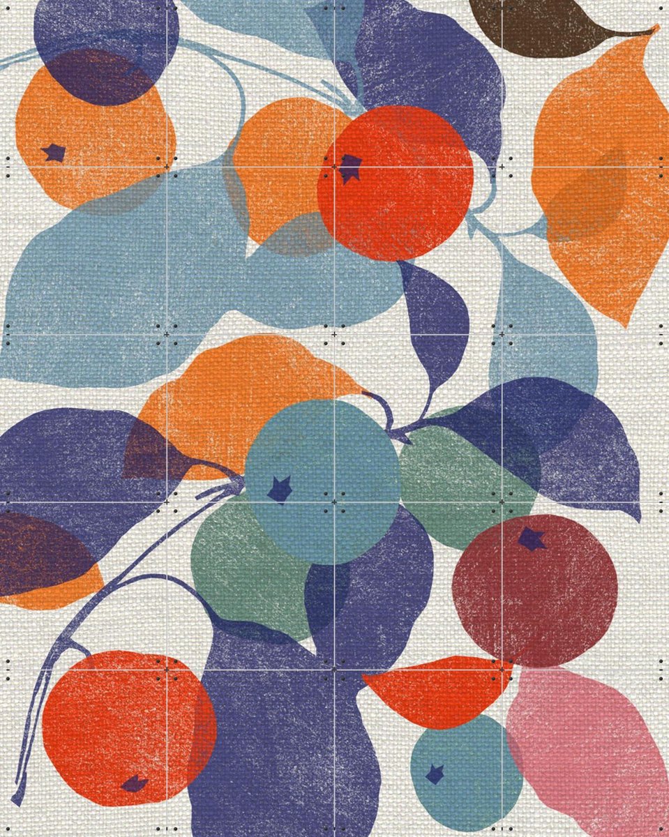 IXXI Printed Apples, Jenny Frean & Bridgeman Images - 80 x 100 cm - Gratis ophangtool - Grote wanddecoratie en posters - Geometrische Kunst, Art Deco
