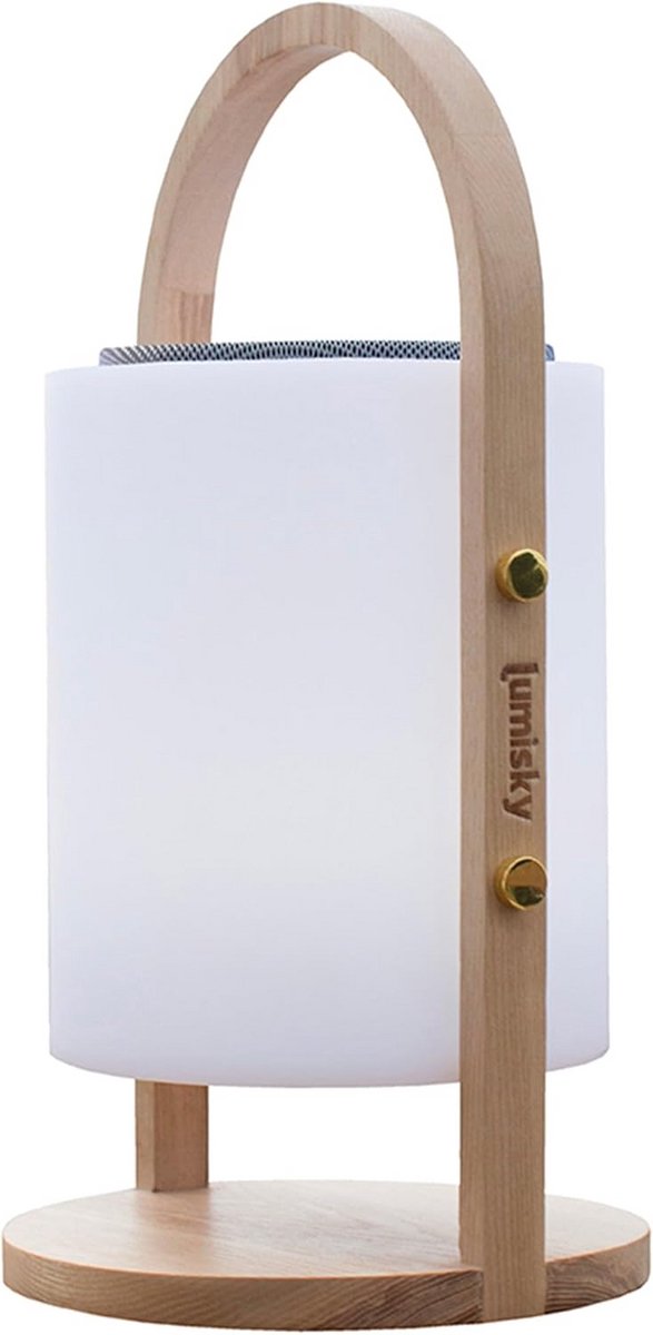 Draadloze Plafondlamp met Bluetooth Speaker en Houten Accent