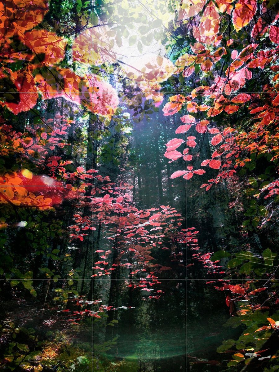 IXXI Enchanted, Angelo Cerantola - 60 x 80 cm - Gratis ophangtool - Grote wanddecoratie en posters - Fotografie, Gemengde Technieken, Woonkamer