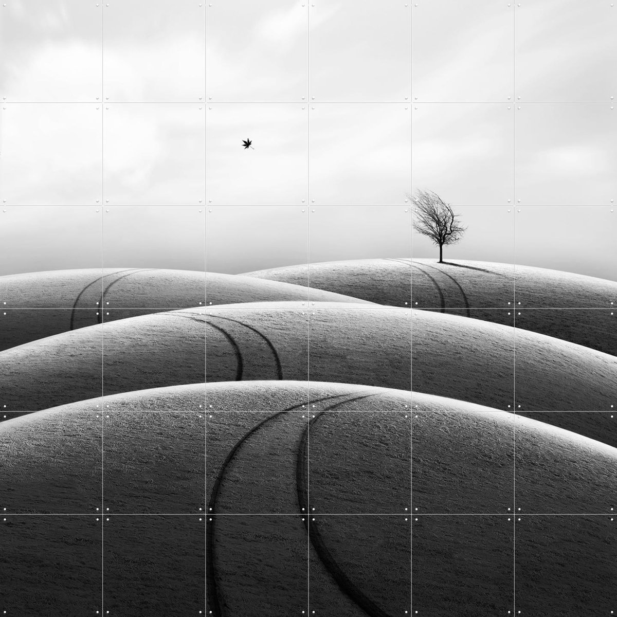 IXXI Far away, Hadi Malijani & Various - 120 x 120 cm - Gratis ophangtool - Grote wanddecoratie en posters - Minimalisme, Fotografie, Woonkamer