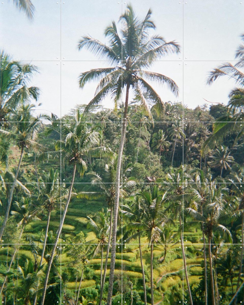 IXXI Ubud Ricefield Terrace, We Like Bali - 80 x 100 cm - Gratis ophangtool - Grote wanddecoratie en posters - Naturalisme, Kleurrijk, Fotografie