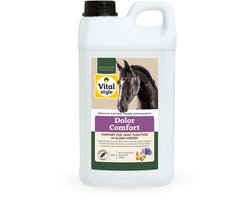 Vitalstyle DolorComfort - Paarden Supplement - Ondersteuning Voor Optimaal Bewegingscomfort - Met o.a. Duivelsklauw & Boswellia - 2,5 L