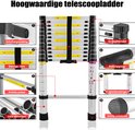 Gedetailleerde weergave van de zilveren telescoopladder met opschriften over functies zoals schuifgrendeling, stevige riem, antislip pedaal, greephendel en veiligheidsmaatregelen.