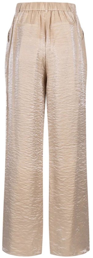Flare Broek Shiny Glitters - Feestartikelen