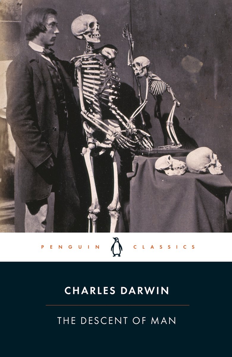 Omslag van PC Descent Of Man