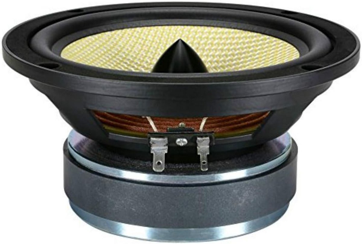 Krachtige 16.5 cm (6.5") Midbas Speaker voor Auto Deur - Hoog Vermogen 220W RMS