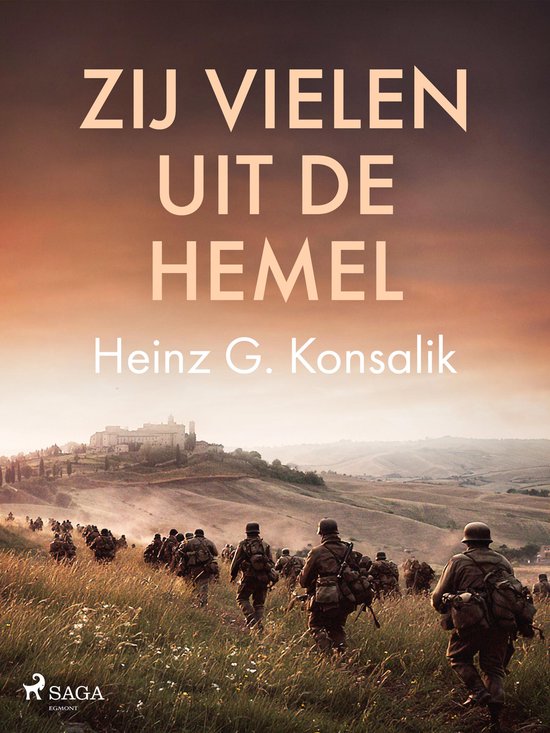 Zij vielen uit de hemel - cover