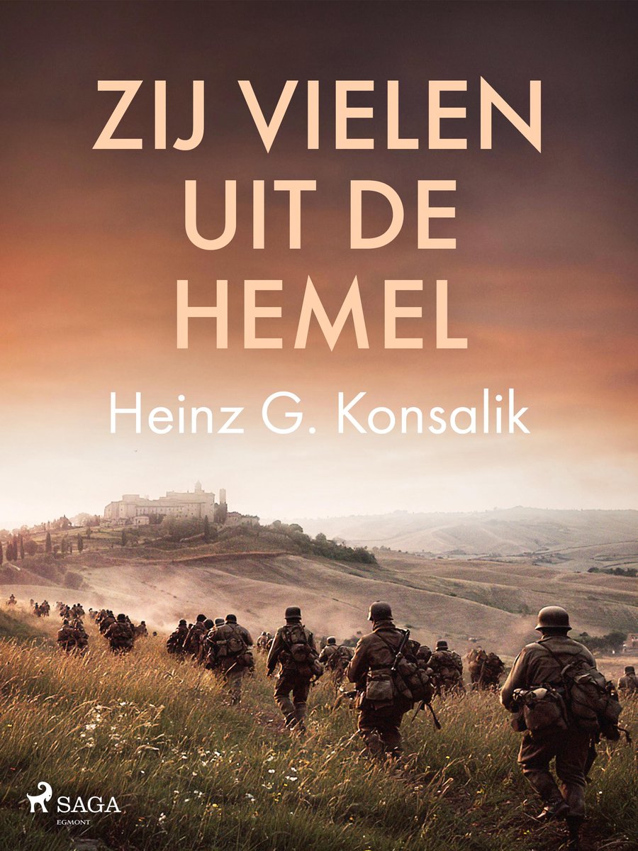 Omslag van Zij vielen uit de hemel