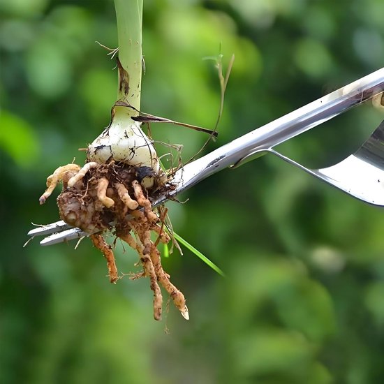 Onkruidsteker - Houten Handvat - 2-in-1 Hark & Schoffel - Voor Graven Wieden Losmaken - Tuingereedschap - RVS van Merkloos	 — afbeelding 4