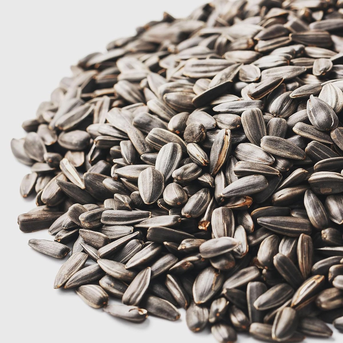 Vogelvoer Zonnebloempitten - Gestreepte Pitten - Vogels Voeren - Hoge Energie Mix - 2.5 kg