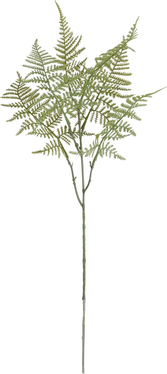 Asparagus Kunsttak 66cm