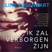 Digitaal luisterboek