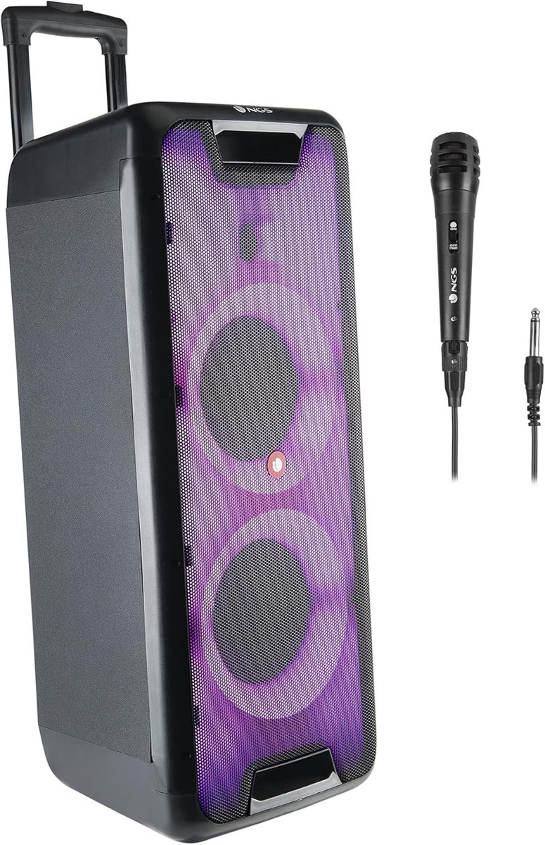 Krachtige Draagbare Bluetooth Speaker met Dubbele 8 inch Subwoofer en Microfoon - TWS Ondersteuning