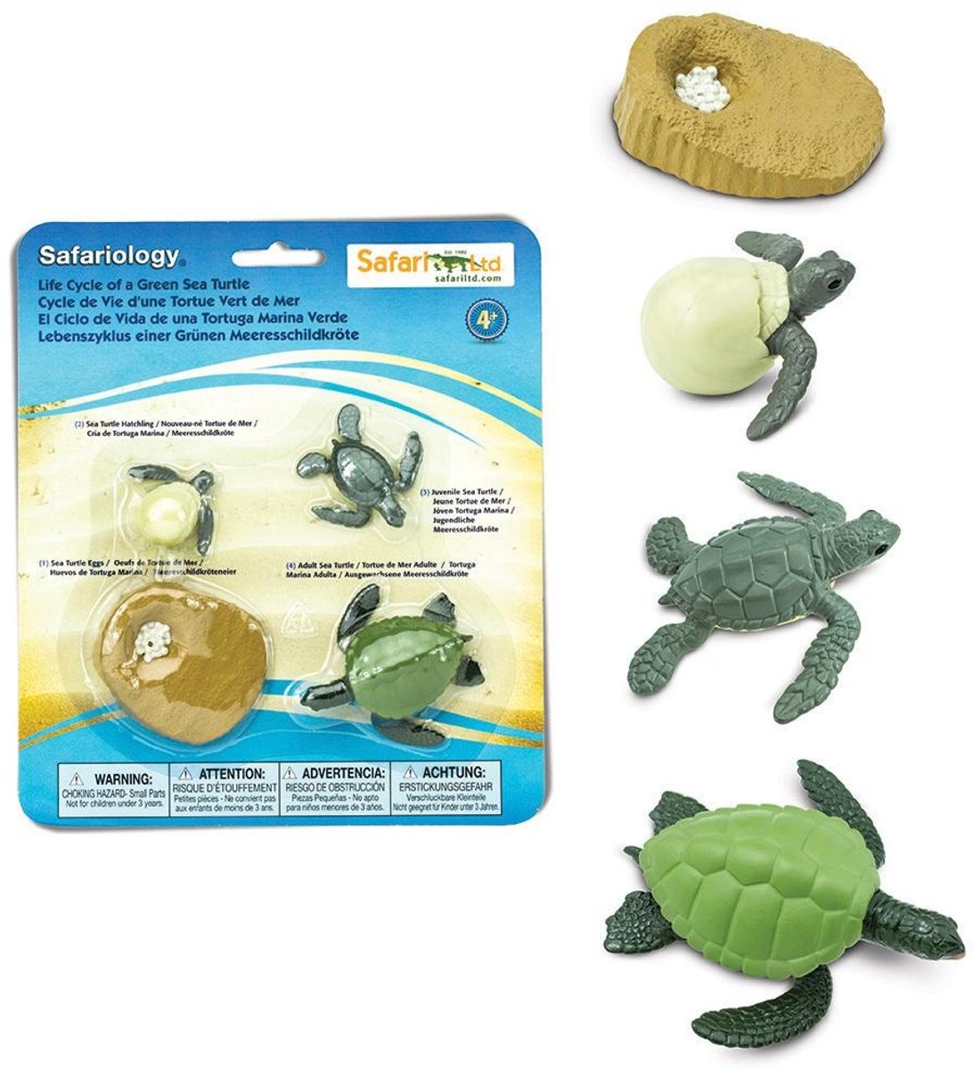 Safari Speelset Levenscyclus Zeeschildpad Junior 4-delig