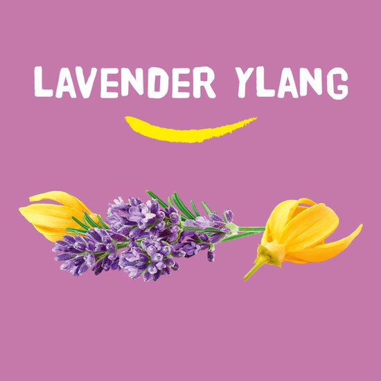 Afbeelding van LAVENDEL YLANG met lavendelbloemen, ylang-ylang bloemen en een gele streep op een paarse achtergrond.