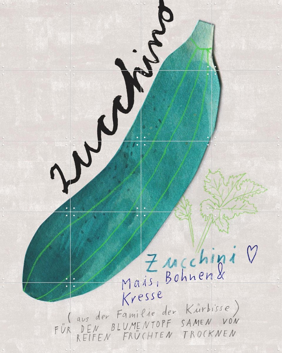 IXXI Zucchini DE, Signorinah - 80 x 100 cm - Gratis ophangtool - Grote wanddecoratie en posters - Illustraties, Planten, Eten & Drinken