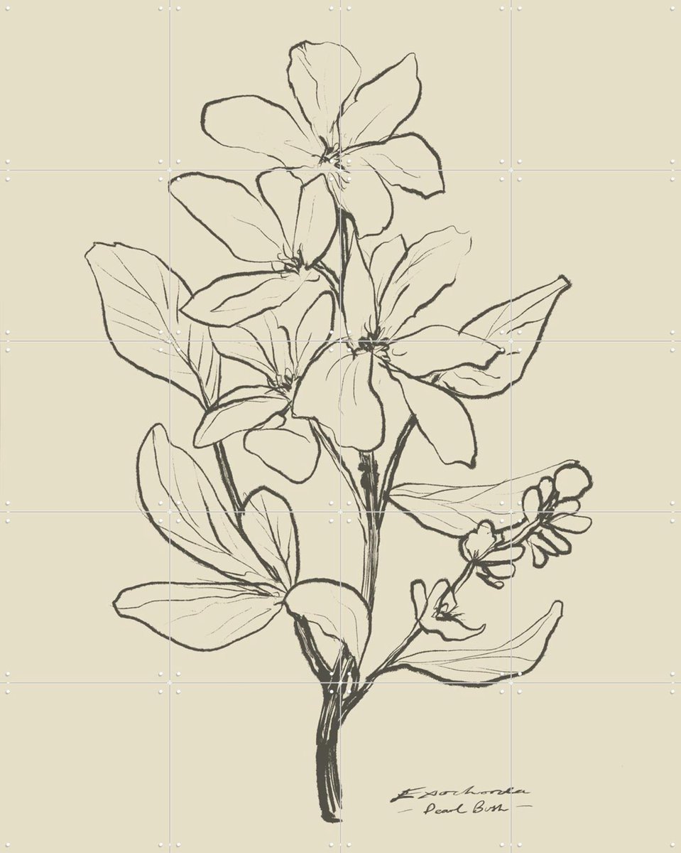 IXXI Floral 1, Dan Hobday & Various - 80 x 100 cm - Gratis ophangtool - Grote wanddecoratie en posters - Naturalisme, Minimalisme, Tekeningen, Line