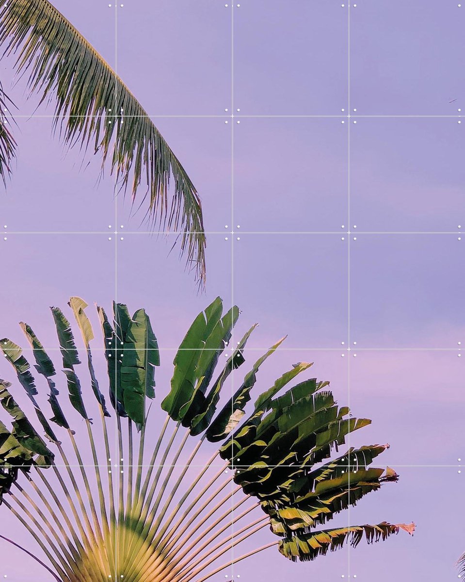 IXXI Tropical Sunset, We Like Bali - 80 x 100 cm - Gratis ophangtool - Grote wanddecoratie en posters - Fotografie, Naturalisme, Kleurrijk