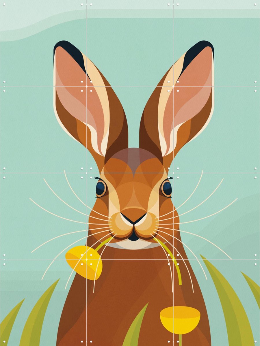 IXXI Haas, Elke Uijtewaal - 60 x 80 cm - Gratis ophangtool - Grote wanddecoratie en posters - Digitale Kunst, Kleurrijk, Speels, Grafisch Ontwerp