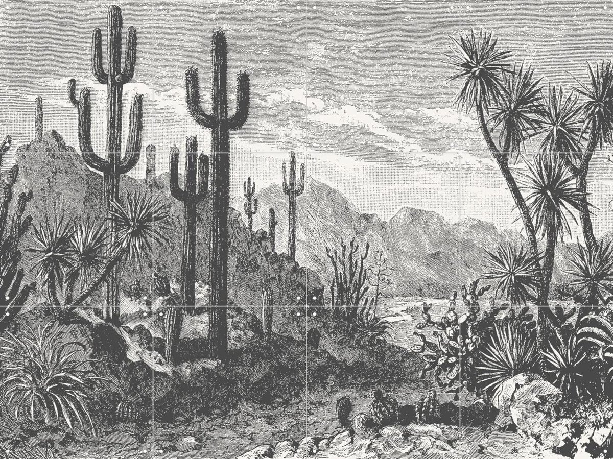 IXXI Cactuses in Mountains, Aster Edition - 80 x 60 cm - Gratis ophangtool - Grote wanddecoratie en posters Bergen, Natuur, Landschappen