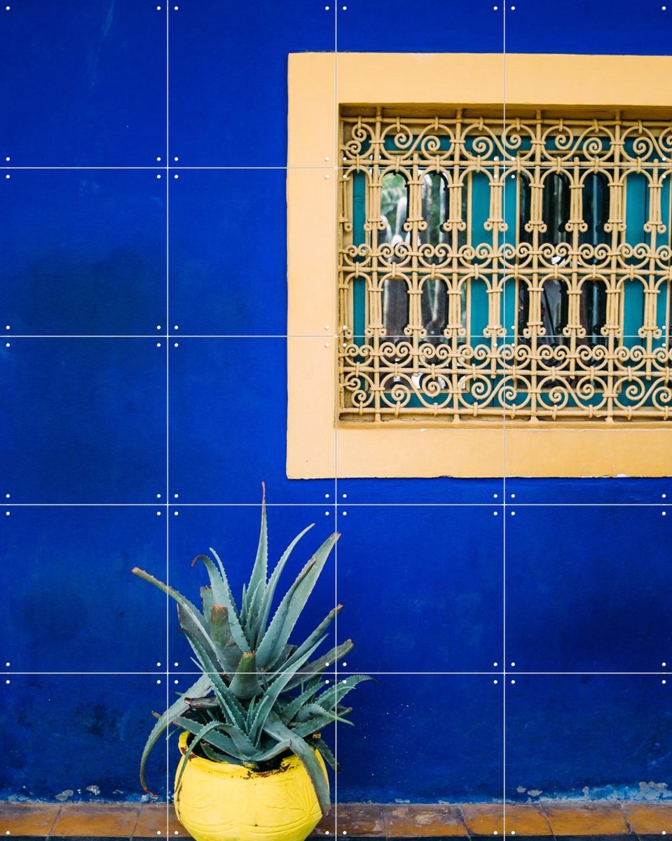 IXXI Yellow and Blue Agave, Pati Photography - 80 x 100 cm - Gratis ophangtool - Grote wanddecoratie en posters - Fotografie, Kleurrijk, Botanisch
