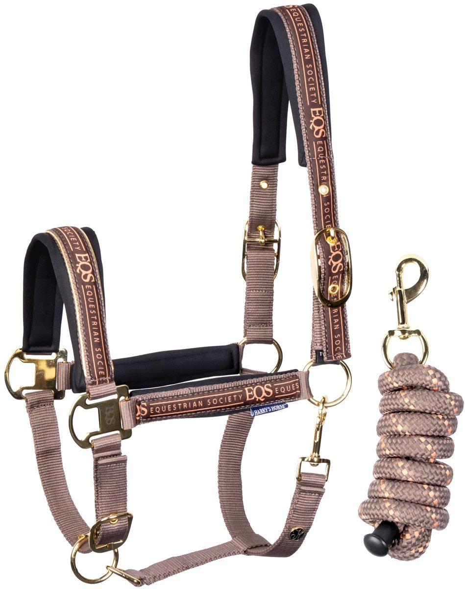 Harry's Horse - Halsterset Equestrian Society - Coffee Quartz - Maat Shetlander