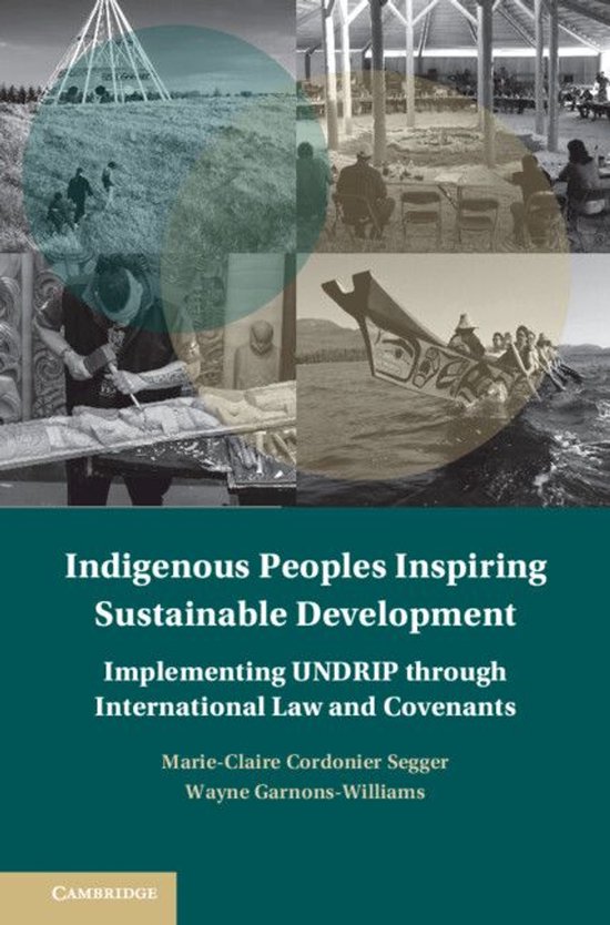 Treaty Implementation for Sustainable Development - Indigeno ... - cover