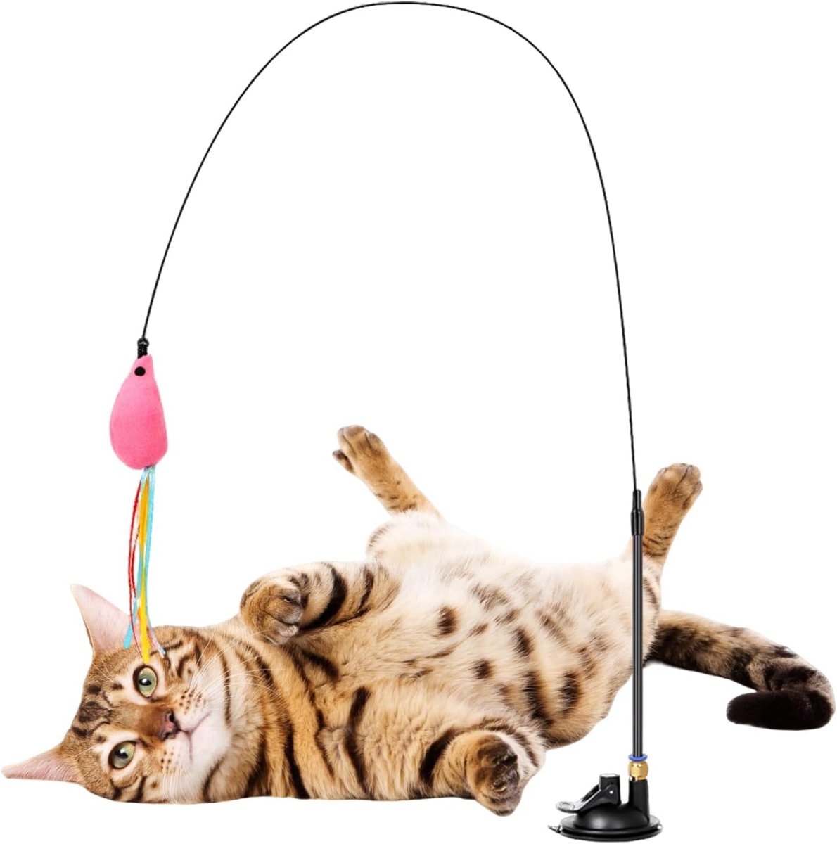 Kattenspeelgoed Zuignap - Visspel Kat - Solospeeltijd - Interactieve Hengel - 28 x 63 x 68 cm - Muis