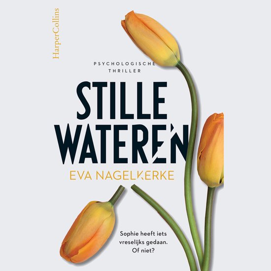 Stille wateren - cover